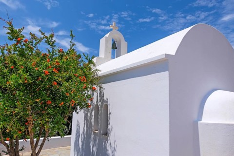 Small chapel with pomegranate (Punica granatum), Paros, Cyclades island, Greece, Europe