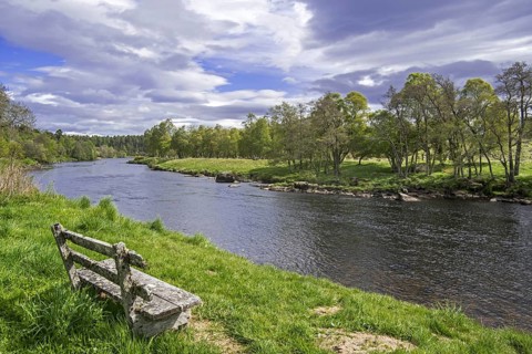 Old weathered wooden bench on riverbank along the river Spey in spring at Grantown-on-Spey,