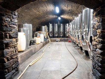 Stainless steel wine barrels in the wine cellar at the winery for fermenting Riesling wines,