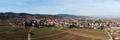 Aerial view of Wachenheim Pfalz, Germany, Europe