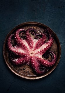 Boiled octopus, close-up, rustic style, no people, top view, close-up