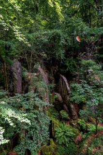 The Felsenmeer in Hemer, Sauerland, geotope, with rugged rock formations, nature reserve, North