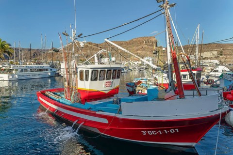 Fishing boats at the harbour, Puerto de Mogan, Gran Canaria, Canary Islands, Spain, Puerto de