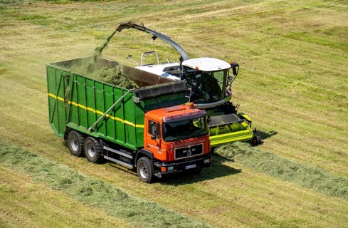 Hay harvest, on a Rhine meadow near Duisburg-Beeckerwerth, a forage harvester picks up the cut