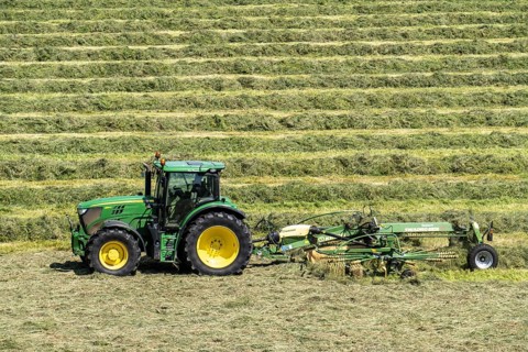 Hay harvest, in a meadow near Duisburg-Baerl, tractor with roundabout tedder, a hay tedder that