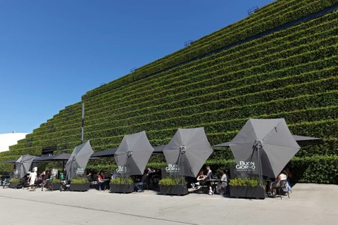 Kö-Bogen II office and commercial building, façade planted with 30, 000 hornbeams, ecological