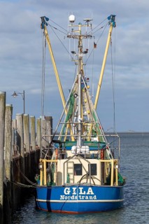 Fishing cutter, harbour, Strucklahnungshörn, Nordstrand, North Frisia, Schleswig-Holstein, Germany,