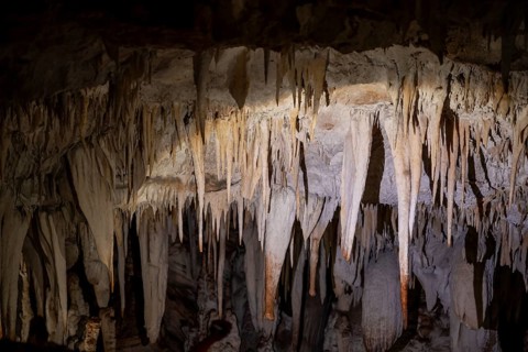 Stalactites in a stalactite cave, Terciopelo Cave, Barra Honda National Park, Costa Rica, Central