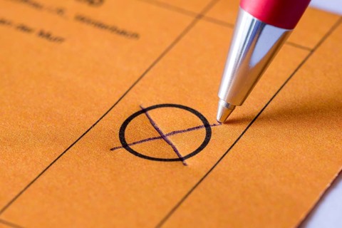 Ballot paper, cross, biros