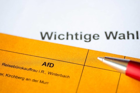 Ballot paper, ballot paper, election matter, AFD, regional election, district council election,
