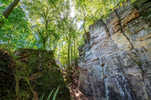 The Devil's Gorge, narrow, accessible gorge of sandstone rocks, with steep rocky gorges, near