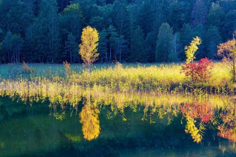 Autumn at Schwansee, near Hohenschwangau, Romantic Road, Ostallgäu, Bavaria, Germany, Europe