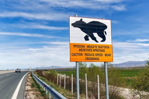 Bilingual warning sign on motorway, caution, drive slowly, bears crossing the road, Western