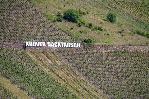 Kröver Nacktarsch vineyard, Moselle, Rhineland-Palatinate, Germany, Europe