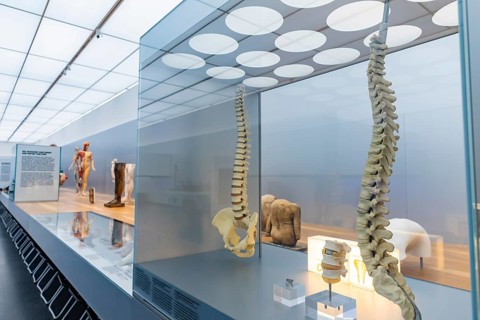 Founded in 1912, the Deutsches Hygiene-Museum is a museum in Dresden. It sees itself as a public
