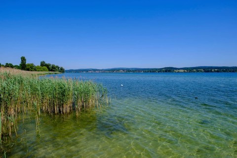 Lake Constance near Oberzell, Reichenau Island on Lake Constance, Baden-Württemberg, Germany,