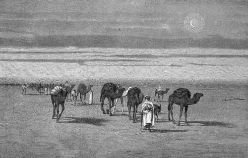 Caravan in the Sahara, Algeria, Historical, digitally restored reproduction from a 19th century