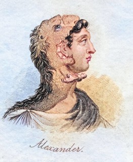 Alexander the Great, 356 BC, 323 BC, Ancient Greek King of Macedonia From the book Crabbs