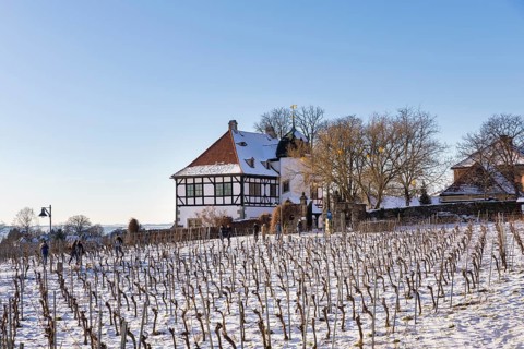 The Höflößnitz winery is also a popular excursion destination in winter, Radebeul, Saxony, Germany,