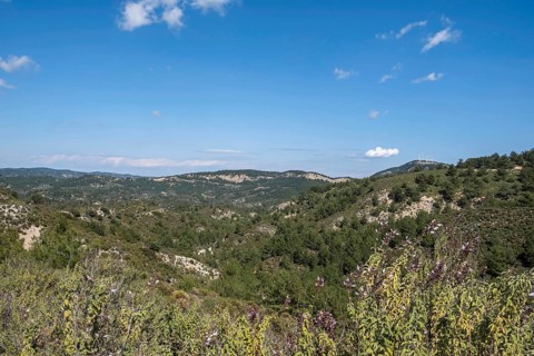 Landscape in the centre of Rhodes, Dodecanese archipelago, Greek islands, Greece, Europe