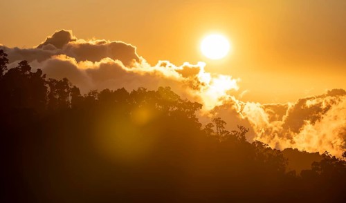 Evening mood, clouds over cloud forest, mountain rainforest, Parque Nacional Los Quetzales, Costa