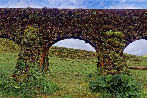 Overgrown historical aqueduct Muro das Nove Janelas with moss-covered arch structures in front of a