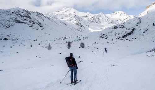 Ski tourers ascending in the rear Martell Valley, snow-covered mountain peak Monte Cevedale behind,