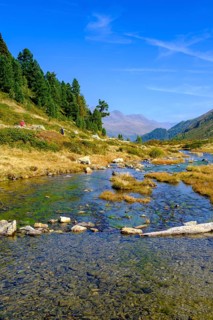 Staller Almbach, Staller Sattel, Defereggen Valley, East Tyrol, Austria, Europe