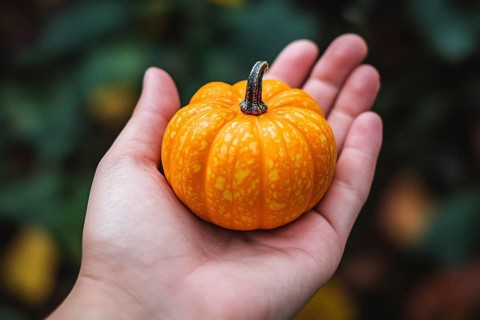 Hand holding small orange pumpkin. Genertaive Ai, AI generated