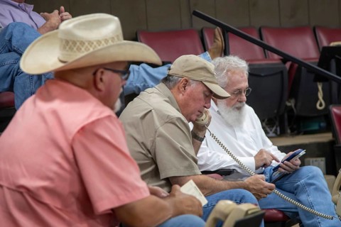 Oklahoma City, Oklahoma, Cattle buyers at an auction at the Oklahoma National Stockyards. Since it
