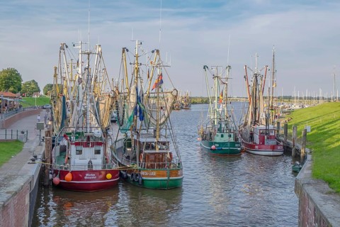 Crab cutter in the harbour of Greetsiel, the largest cutter fleet in East Frisia, Greetsiel, East