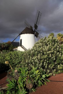 Windmill and garden at Centro de Artesania Molinos de Antigua, Fuerteventura, Canary Islands,