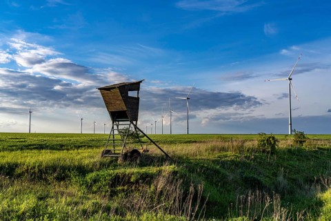 RWE wind farm near Bedburg, at the Garzweiler opencast mine, on recultivated part of the opencast