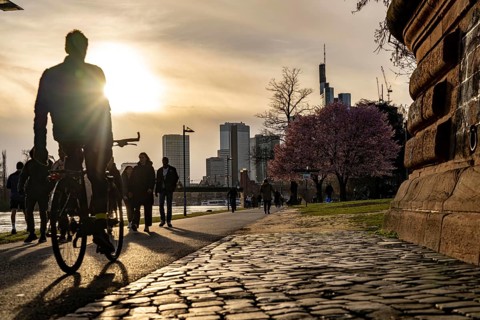 Bank of the Main in Frankfurt, Spring, Hesse, Germany, Europe