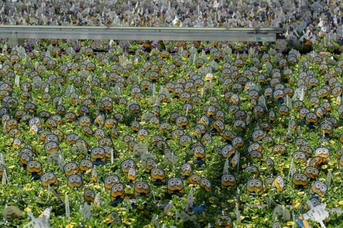 Horticultural business, greenhouse, various types of potted plants are grown here to be sold in