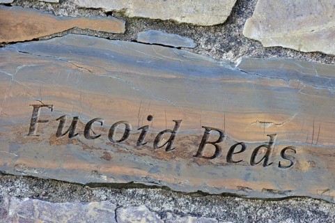 Fucoid beds rock fragment, part of the Knockan Puzzle at the Knockan Crag National Nature Reserve,