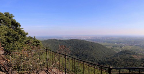 View of the Rhine plain from the summit plateau of the Orensberg (southern Wine Route)