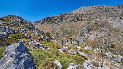 Mountain landscape with rocks and colourful flora under a clear blue sky and natural hiking trail,