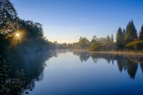 Sunrise with fog, Mühlweiher at Reutberg Monastery, Sachsenkam, Tölzer Land, Alpine foothills,