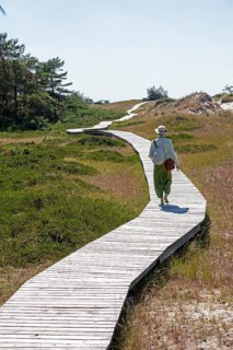 Elderly woman, trees, wooden footbridge, circular hiking trail, nature reserve, Darßer Ort, Born a.