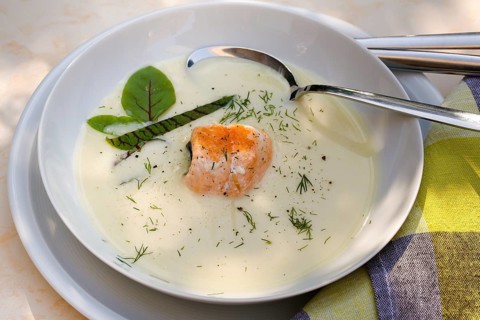 Southern German cuisine, sorrel soup with char, freshwater fish, soup arranged in a plate, herbs,