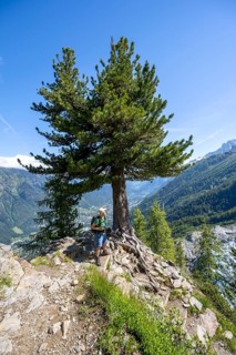 Hiker on the La Jonction hiking trail, Chamonix, Haute-Savoie, France, Europe