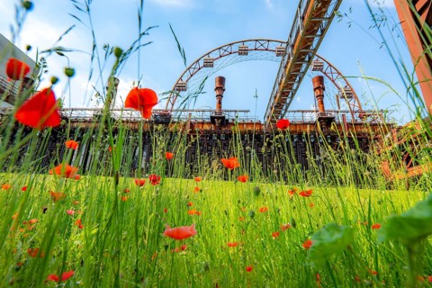 Zollverein Coal Mine Industrial Complex World Heritage Site, Zollverein Coking Plant, colourful