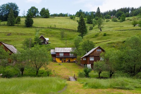 View of wood-clad houses in a quiet, green hilly landscape, Bubesti, Alba, Transylvania, Romania,