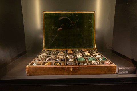 Exhibits, rock collection in the Goethe National Museum, Weimar, Thuringia, Germany, Europe