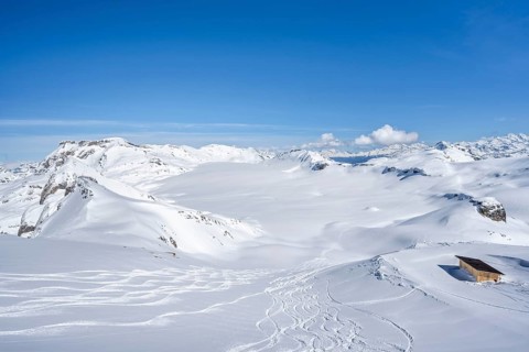 Downhill tracks in fresh snow, view from summit Wisshore to glacier Glacier de la Plaine Morte with
