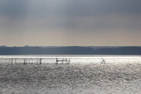 Usedom, on the Achterwasser, September, Mecklenburg-Western Pomerania, Germany, Europe