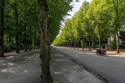 The Jägerhofallee in the Hofgarten, the central municipal park in Düsseldorf, North