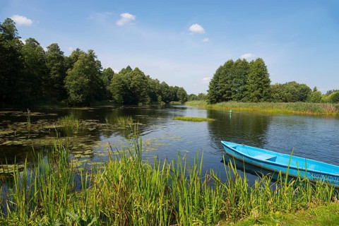 A calm river flows through a green forest landscape under a blue sky, landscape near the Tartak