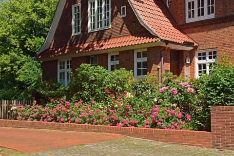 Europe, Germany, Hamburg, Bergedorf district, Schlossstr., City villa with roses, Europe
